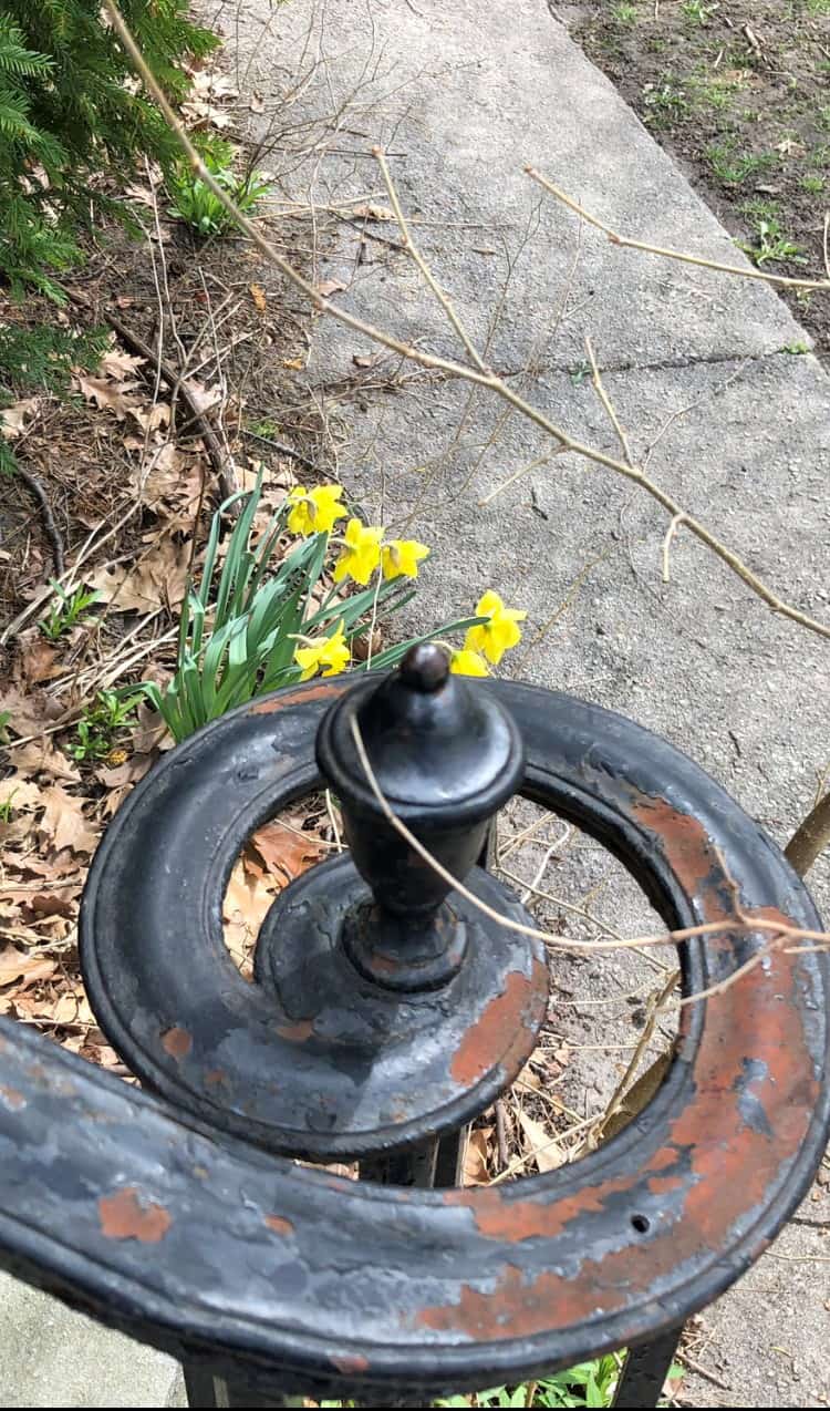 Image of a rusted steel newel post with wound railing amongst fresh spring flowers on a pathway.