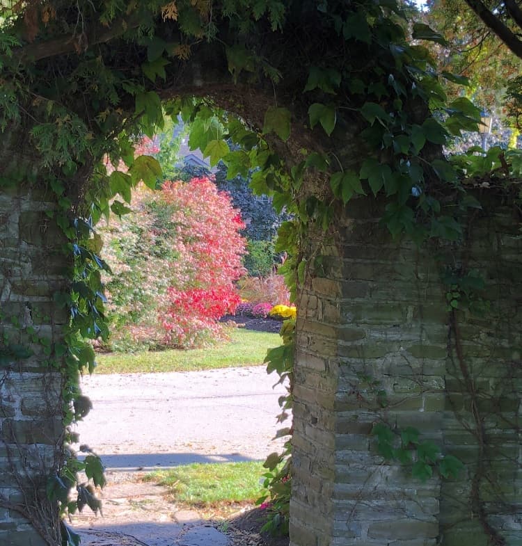 Colour photograph of autumn through a stone archway—Gairloch Gardens, Oakville, October 2023.)