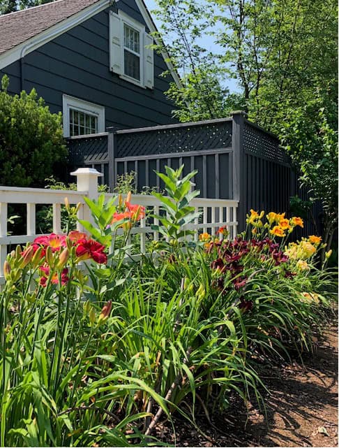 Author’s photograph, Flowers, fence & house. SE Oakville, July 2024.