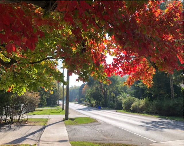 Orange yellow canoopy overhead walking south on sidewalk in SE Oakville