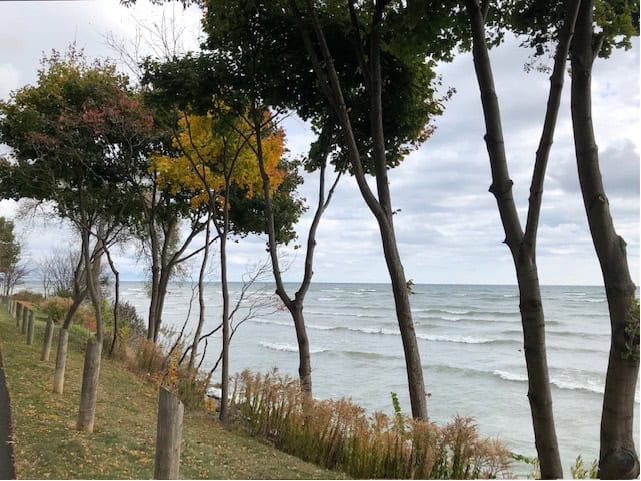 Rhythmic wooden bollard, trees, and waves, Esplanade, SE Oakville.